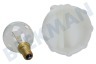 Constructa Oven-Magnetron 00613655 Lamp Ovenlamp 40W E14 met reparatieset