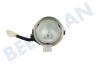 23803 Lamp Spotje 20W Halogeen, RVS Rand