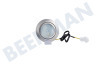 908092 Lamp Spotje 2W DC 12V