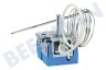 Etna Oven-Magnetron Temperatuur regelaar Penvoeler