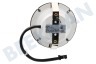 Etna Afzuigkap 873038 LED spot 1.5W 12V