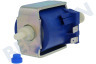Ariete Koffiezetapparaat Pomp 220-240V, 50HZ 48W MC