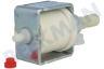 Ariete Pomp 230V, 50HZ 56W
