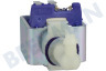 Ariete Pomp 220-230V, 50-60HZ 57W