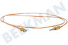Blomberg Fornuis Thermokoppel
