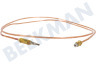 Blomberg Fornuis Thermokoppel