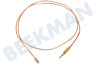 Blomberg Fornuis Thermokoppel
