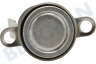 Mora Ofen-Mikrowelle Thermostat Schutz 130 Grad