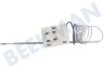 Upo Oven-Magnetron Thermostaat Penvoeler 312 graden
