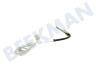 Privileg Oven-Magnetron Sensor Penvoeler