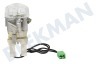 Ariston Oven-Magnetron Lamp Verlichting compleet