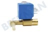 Calor CS-00143087 Magneetventiel Compleet