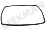 Hotpoint Oven-Magnetron 480121101444 Deurrubber