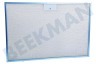 Whirlpool Afzuigkap C00302744 Vetfilter