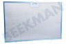 Whirlpool Afzuigkap C00302744 Vetfilter