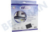 Hotpoint Afzuigkap Filter Koolstof 220x180x20mm