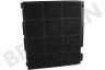 Whirlpool Abzugshaube Filter Carbon 225x210x30mm