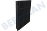 Whirlpool Abzugshaube Filter Carbon 225x210x30mm