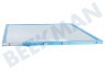 Elica Afzuigkap Filter Metaal 380 x 283 x 8 mm