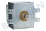 Whirlpool Oven-Magnetron Magnetron Straalunit 2M167B-M16