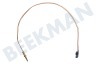Ikea Fornuis Thermokoppel 520mm.