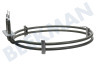 Alternatief Oven-Magnetron Verwarmingselement 2450W Hete lucht