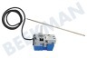 Privileg Ofen-Mikrowelle Thermostat mit Stabsensor