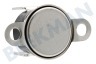 Ariston Oven-Magnetron Thermostaat