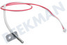 Whirlpool Oven-Magnetron Temperatuurvoeler
