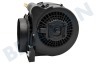 Mora Abzugshaube 315927 Motor