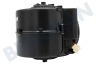 Mora Abzugshaube 315927 Motor