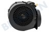 Mora Abzugshaube 315927 Motor