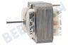 Pelgrim Afzuigkap Motor Van ventilator