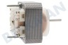 Pelgrim Afzuigkap Motor Van ventilator