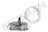 Gorenje Afzuigkap Lamp Spotje 20 Watt Halogeen