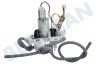 Rowenta Koffiezetapparaat MS-5A21199 Verdeler