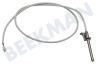 Smeg Oven-Magnetron Temperatuurvoeler