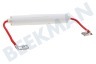 Pelgrim Oven-Magnetron DE91-70061H Zekering 5KV 900mA, met koker