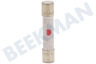 Samsung Oven-Magnetron 3601-000448 10A Zekering