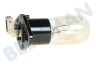 Alternative Ofen-Mikrowelle 4713-001524 Lampe für Mikrowelle 20W 230V 104ma