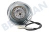 Novy Afzuigkap Motor