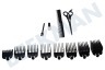 Wahl Home Pro 300 Haarschneider Wahl -schwarz- Serie 300, einschließlich 8 Aufsteckkämme