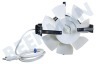 Venta Motor Compleet Wit