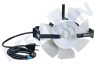 Venta Motor Compleet Antraciet