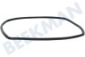 Inventum Oven-Magnetron Deurrubber