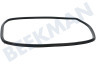 Inventum Oven-Magnetron Deurrubber