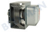 Inventum Oven-Magnetron Magnetronbuis