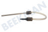 WMF SS-8030002195 Milchschlauch