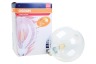 Osram Licht Ledlamp Globe 