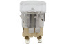 Inventum VFI6042WIT/01 VFI6042WIT Fornuis - Inductie - 60 cm - Wit/Zwart Microgolfoven Lamp 